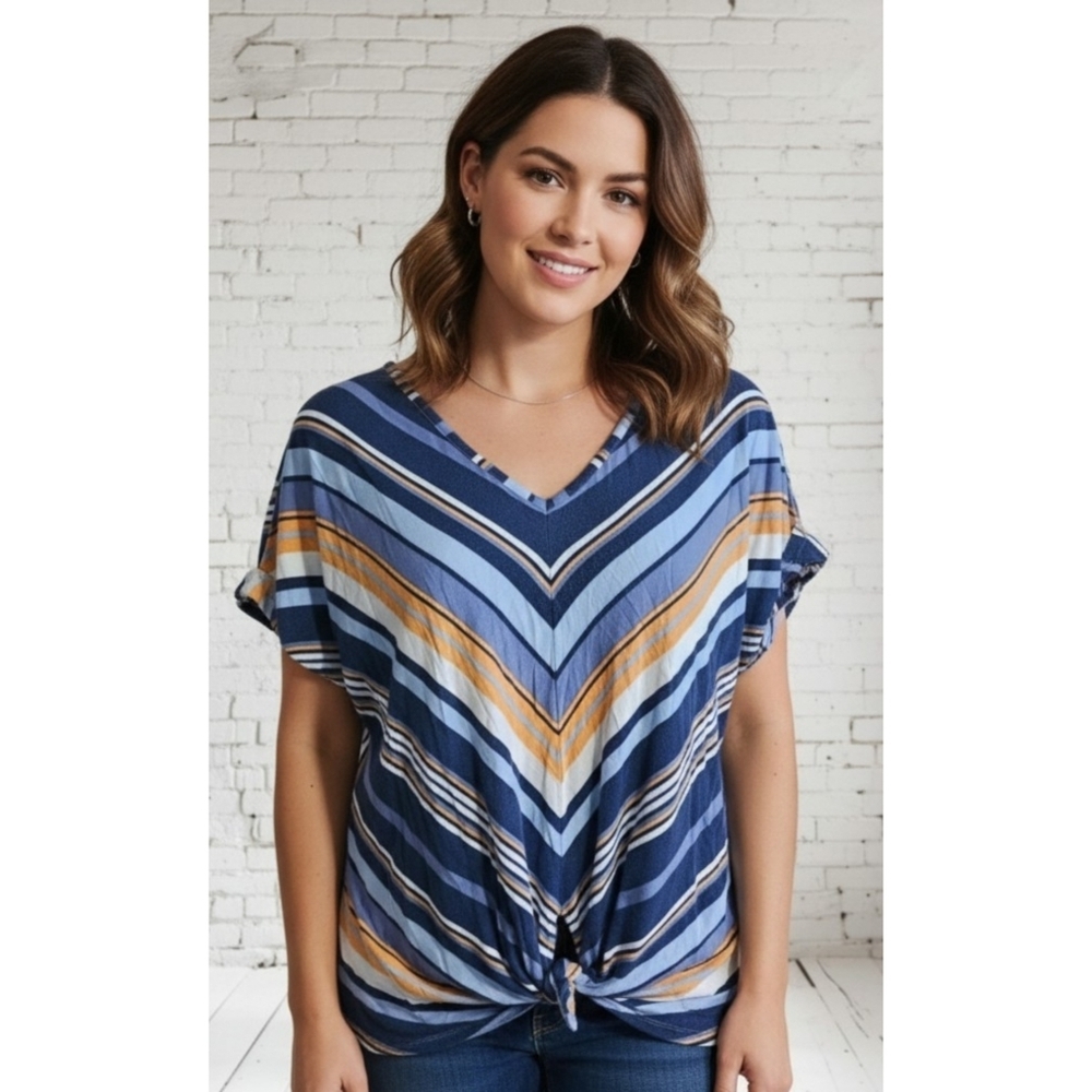 Signature Studio Striped Tie Front tee Blue Size 1X